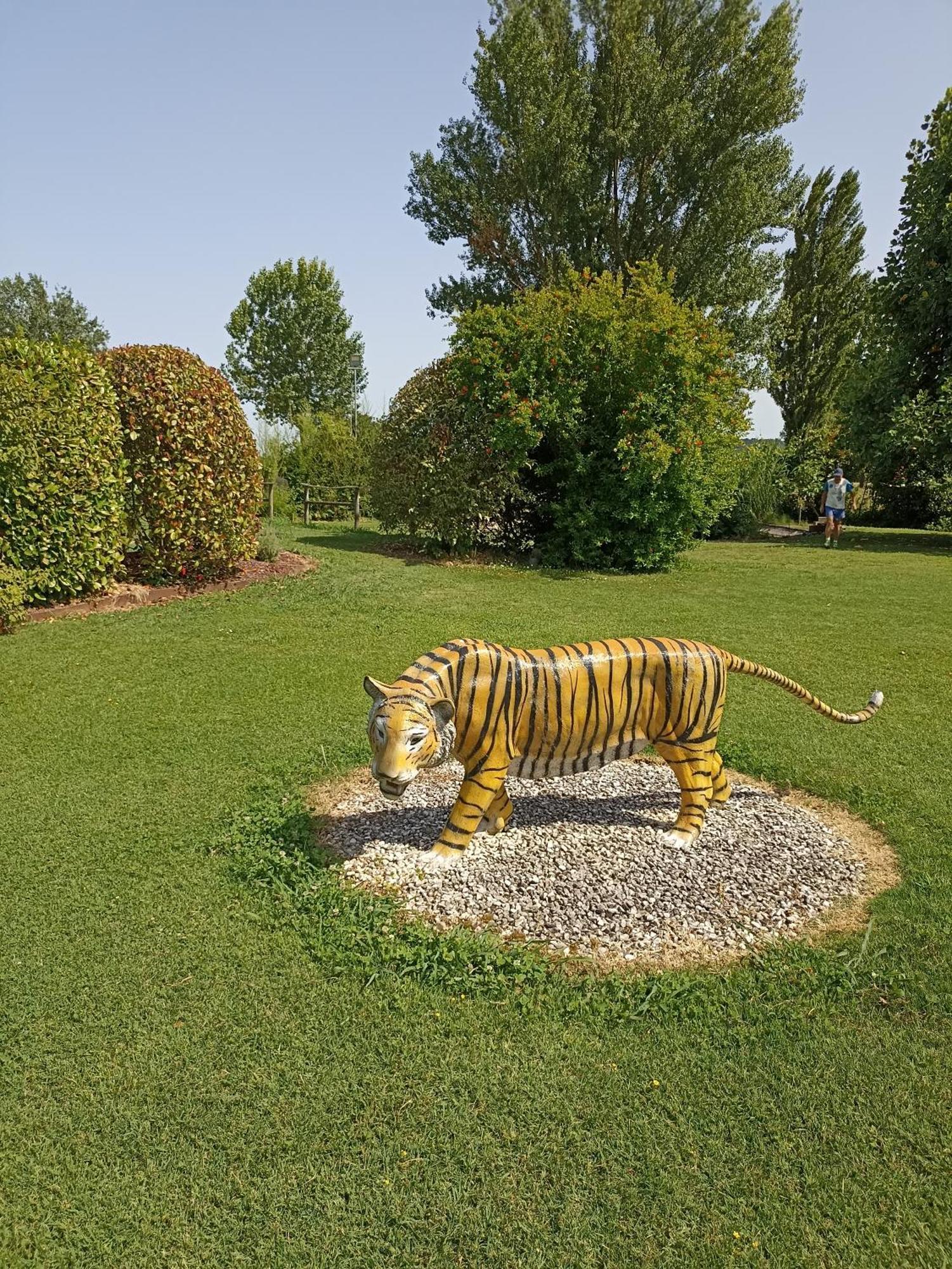 Piscina Privata Tiger Home, Toscana Капанари Екстериор снимка